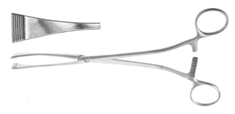 metal uterus fabrication|Uterus Clamp .